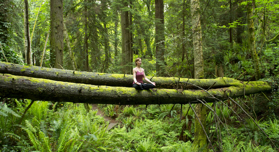 FOREST BATHING: IL POTERE BENEFICO DELLA NATURA