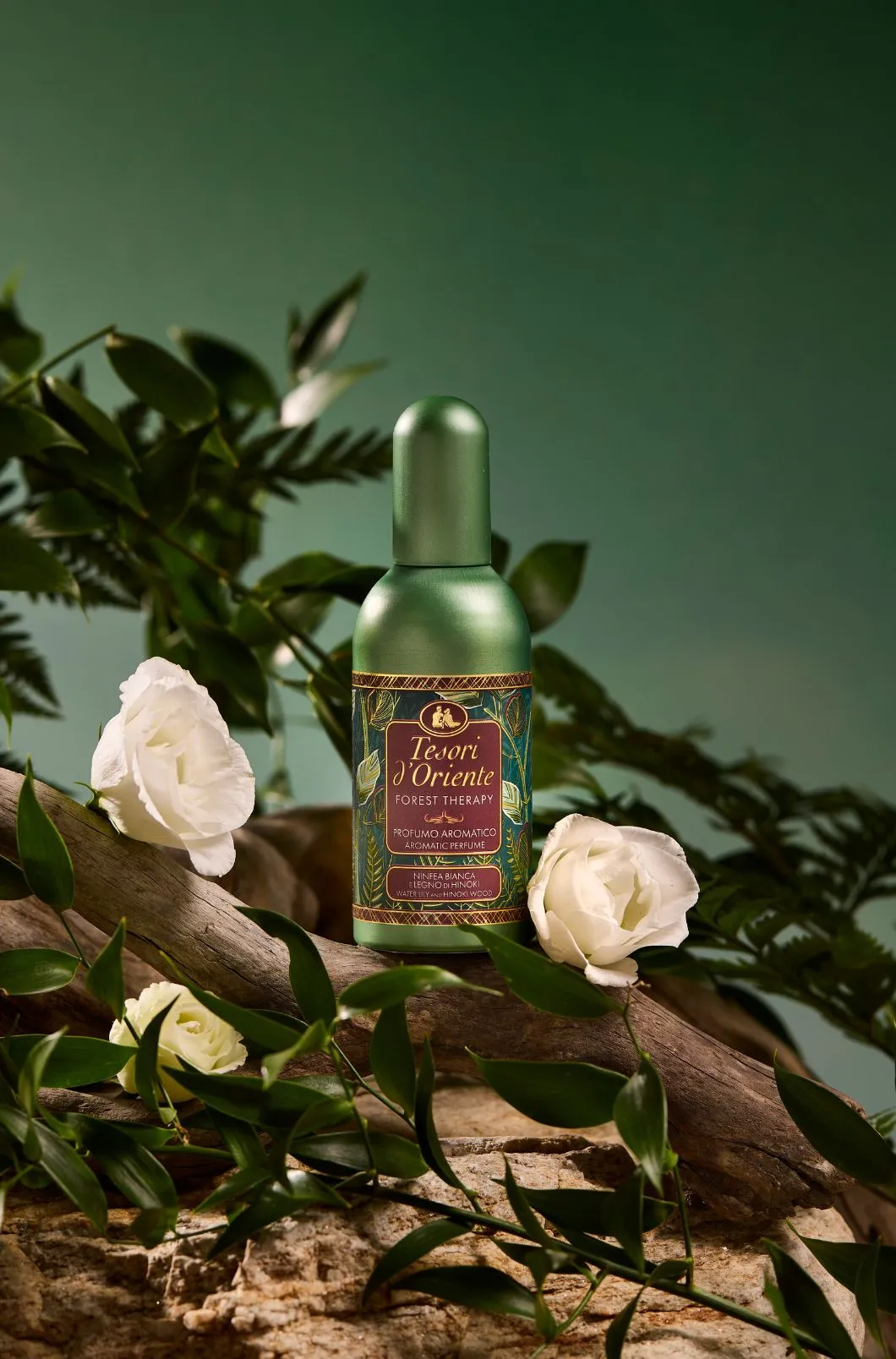 Forest Therapy | Tesori d'oriente